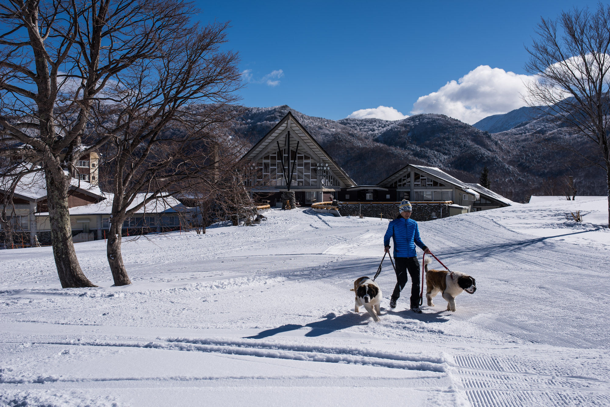 โอคุชิกะ โคเก็น โฮเต็ล Hotel ยามาโนะอุจิ ภายนอก รูปภาพ